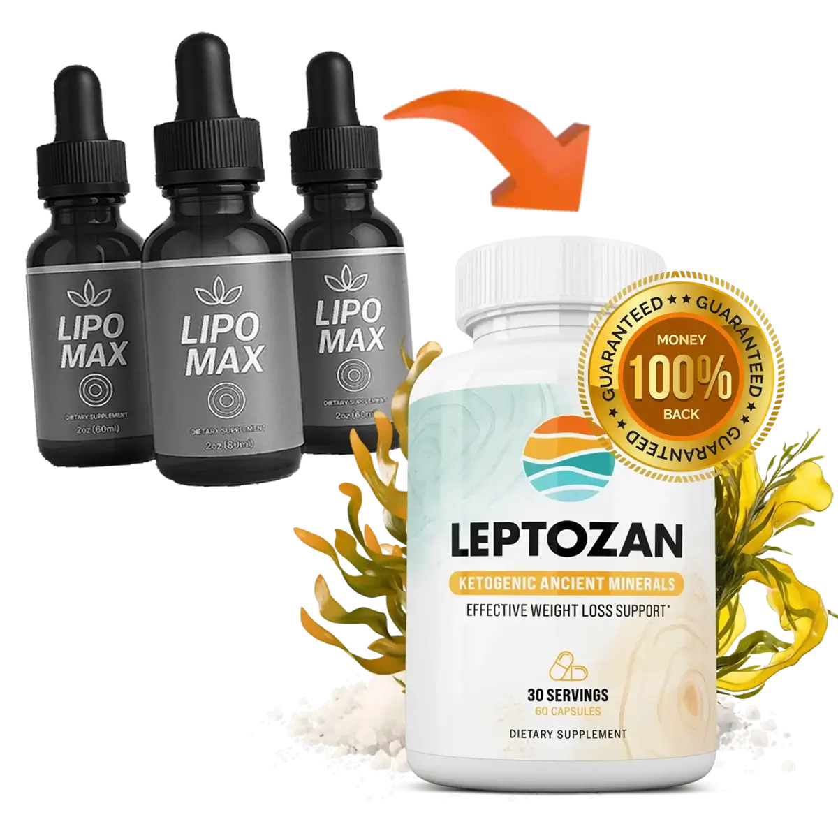 New Version vs Old Version